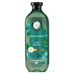 Product image of Eucalyptus Sulfate Free Scalp Balance Shampoo